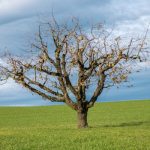 Simple Ways to Make Sense