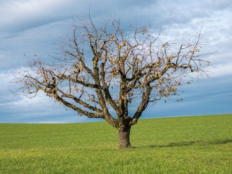 Simple Ways to Make Sense