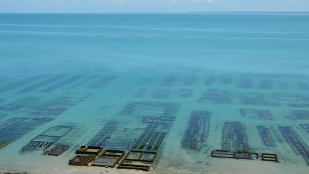 Understanding the Concepts of Sustainable Tourism